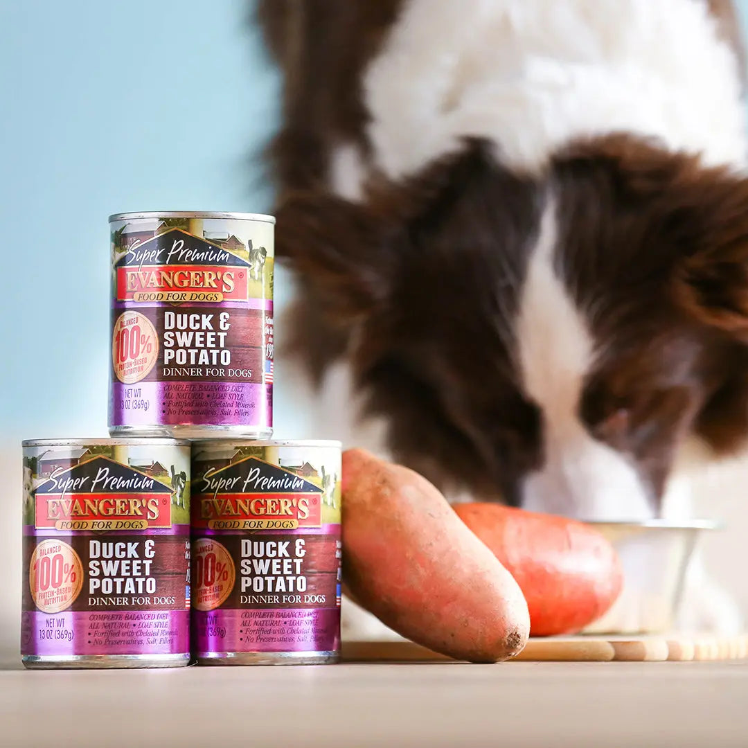 Evanger's Top - Quality Canned Duck & Sweet Potato Dog Food, 12 Packs of 12.8 oz