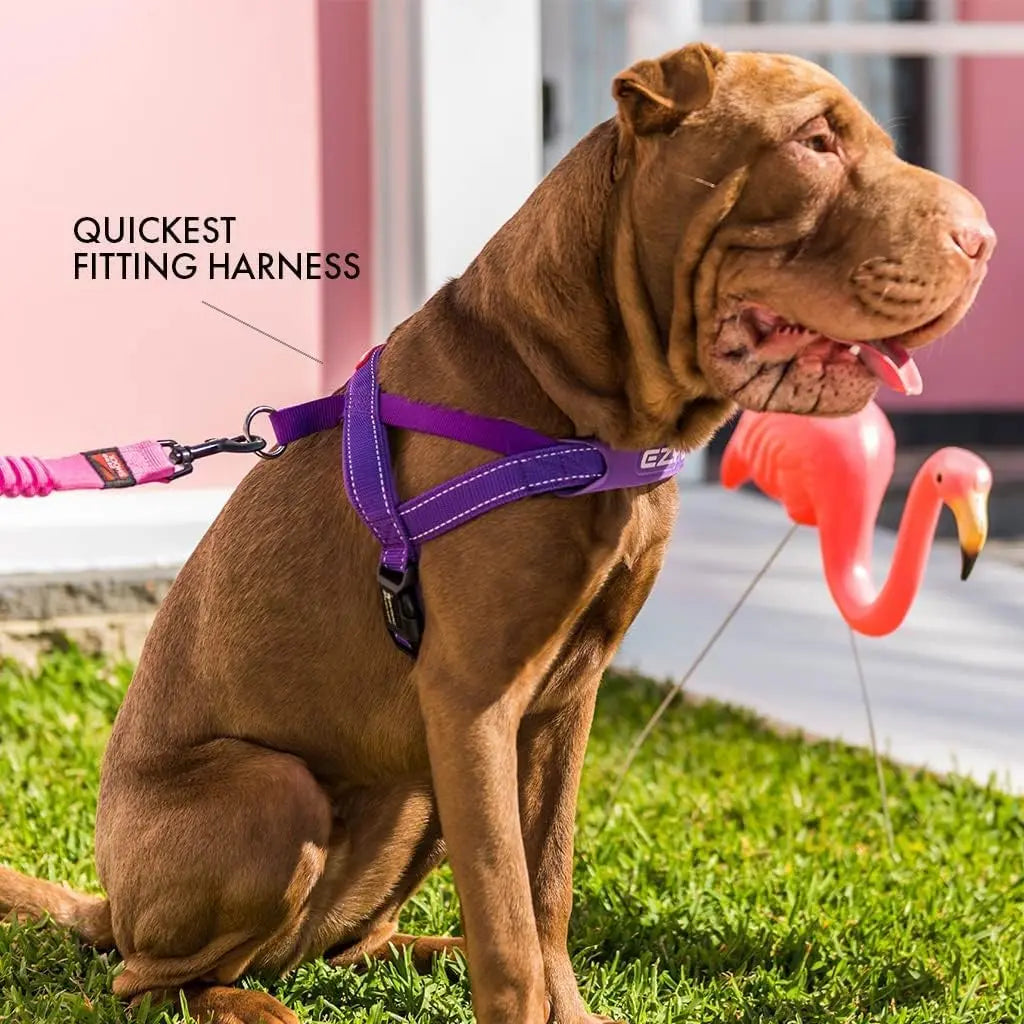 EzyDog Premium Adjustable No-Pull Quick-Fit Dog Harness