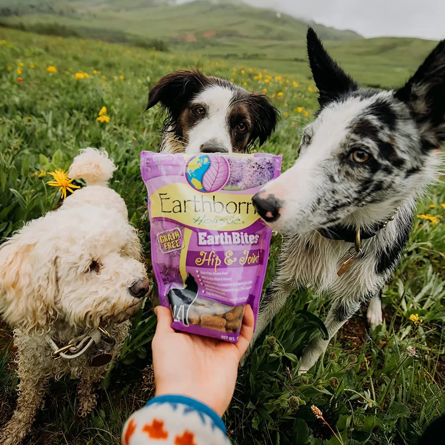 Earthborn Holistic Grain-Free 7.5 oz Turkey Soft Dog Treats for Hip & Joint Health