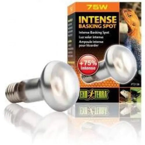 Exo-Terra Specialized Tight Beam Basking Spot Lamps for Sun Glo Function