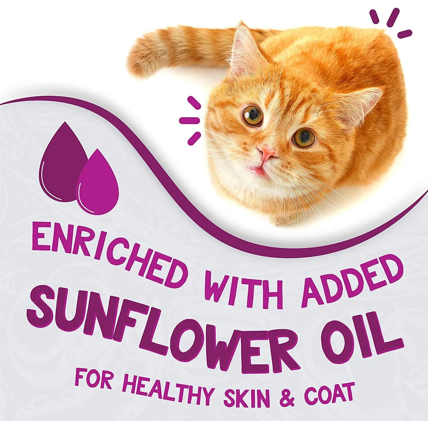 Earthborn Holistic Grain-Free Wet Cat Food: Harbor Harvest with Seafood Delight