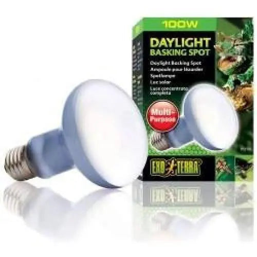 Exo-Terra Neodymium Basking Spot Lamps for Optimal Terrarium Lighting