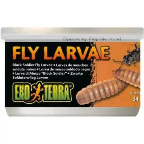 Exo Terra Canned Premium Black Soldier Fly Larvae for Reptiles