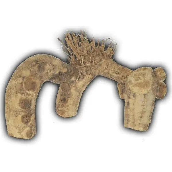 Miniature Spider Root Decoration for Aquariums and Terrariums