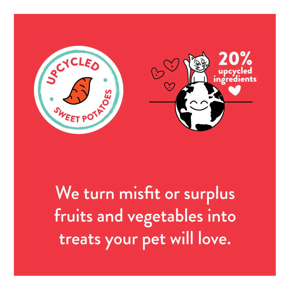 Shameless Pets Premium Lobster & Cheese Crunchy Cat Treats