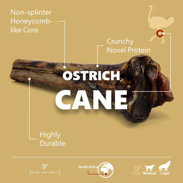 Long - lasting, Allergen - free Savannah Ostrich Cane: A Natural Dog Gnaw Treat