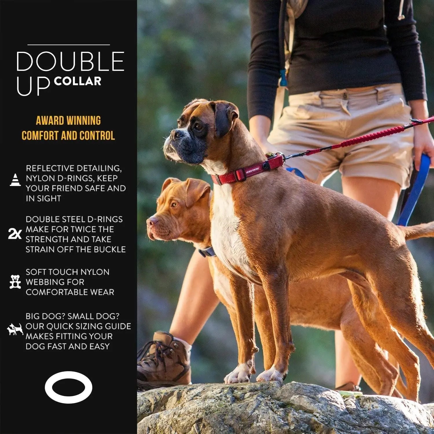 EzyDog Double - Reinforced Premium Reflective Nylon Dog Collar