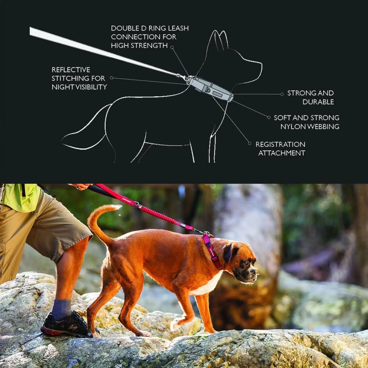 EzyDog Double - Reinforced Premium Reflective Nylon Dog Collar