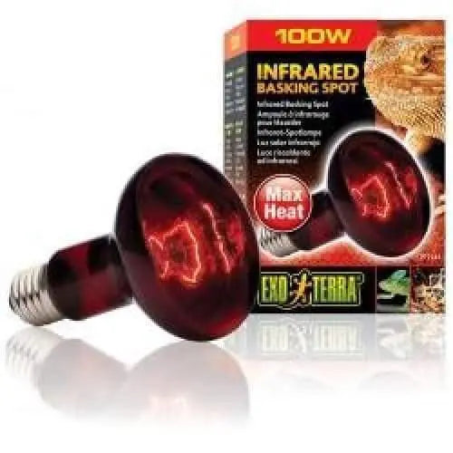 Exo-Terra Infrared Heat Glo Lamp for Terrarium Heating