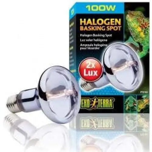 Exo Terra High - Efficiency Sun - Glo Daylight Halogen Lamp for Reptiles