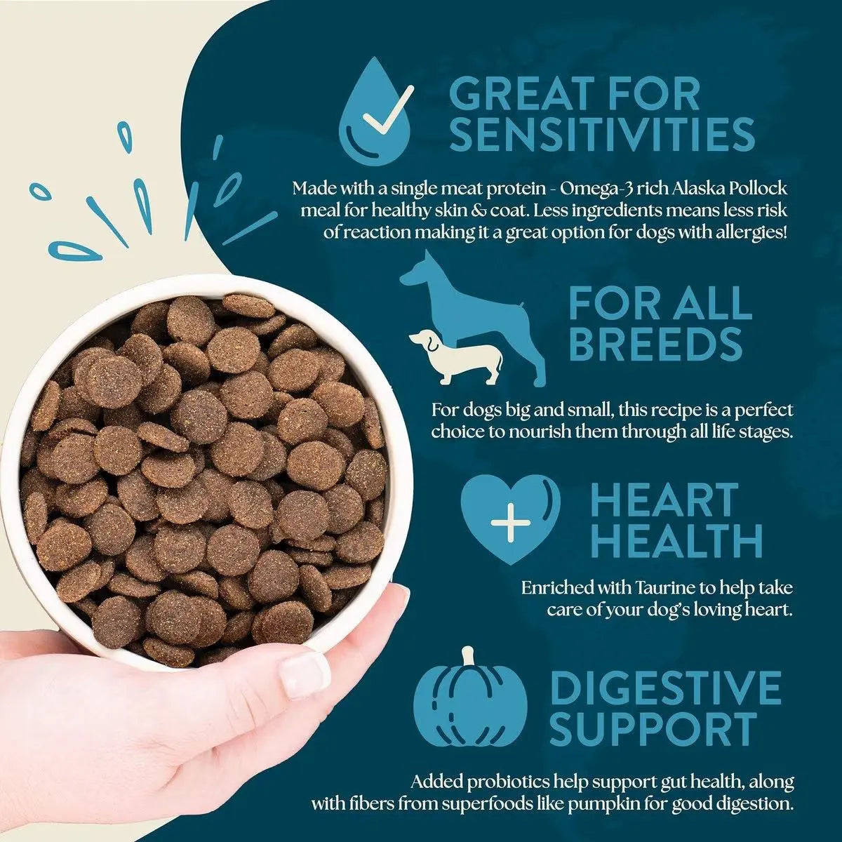 Earthborn Holistic Venture Limited Ingredient Grain-Free Dry Dog Food with Alaska Pollock Meal and Pumpkin for All Life Stages