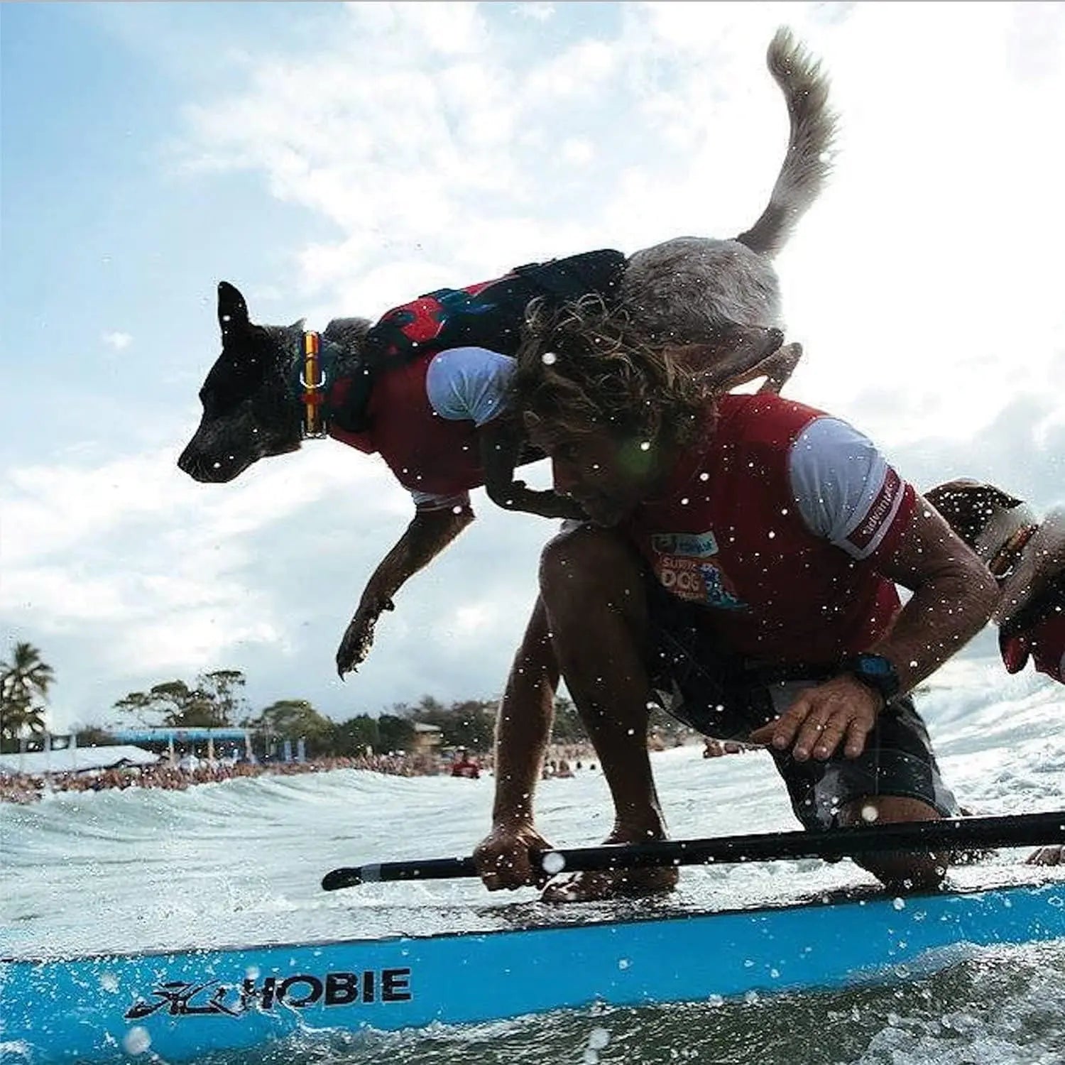 EzyDog Adjustable Dog Life Jacket: High-Performance Floatation Device