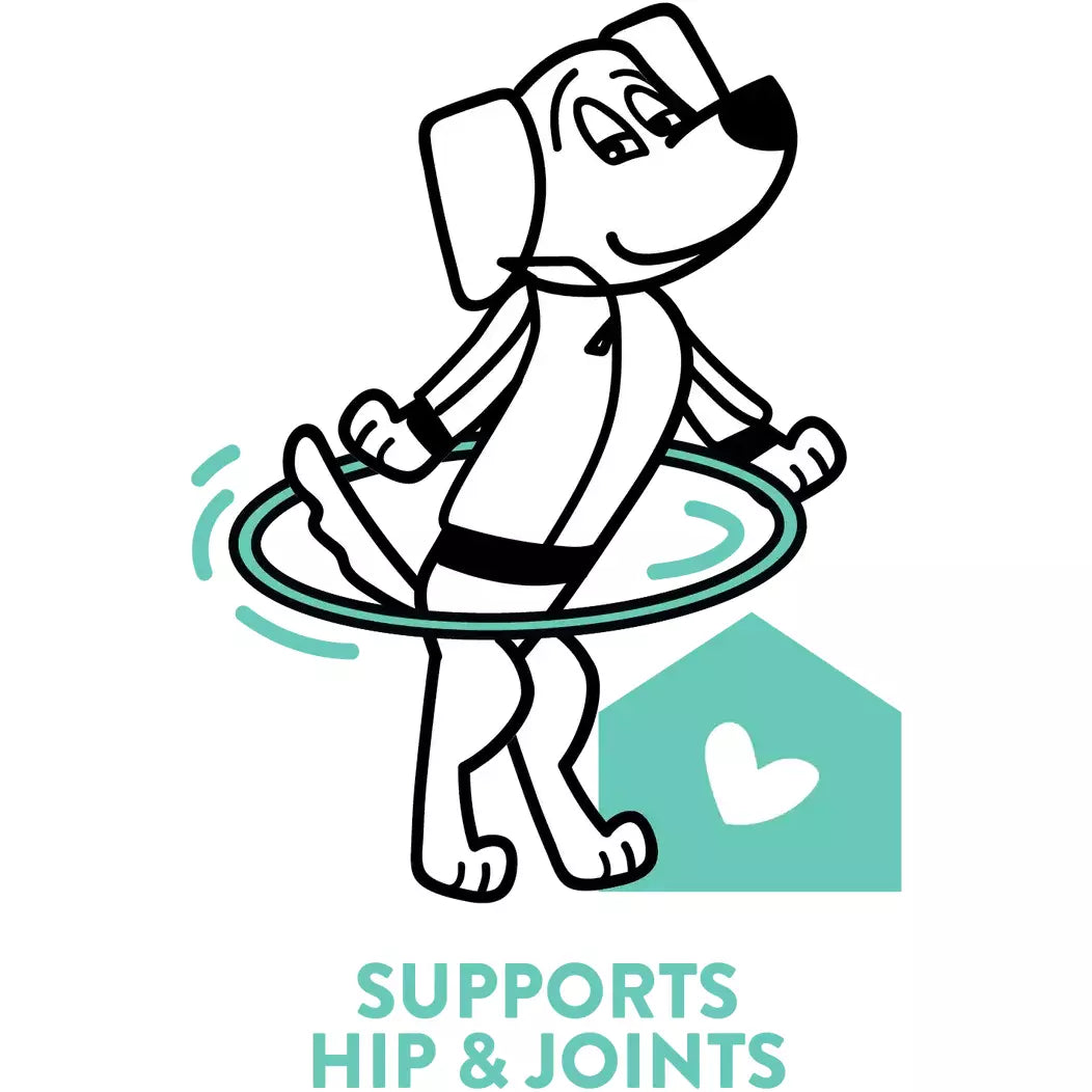 Shameless Pets Soft Baked Lobster - Flavored Dog Treats with Glucosamine