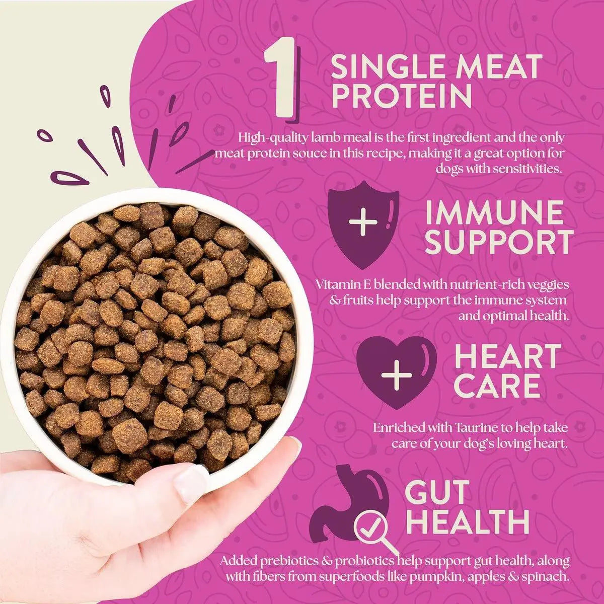 Earthborn Holistic Grain - Free Dry Dog Food: Meadow Feast Lamb Meal & Vegetables Recipe for Dogs