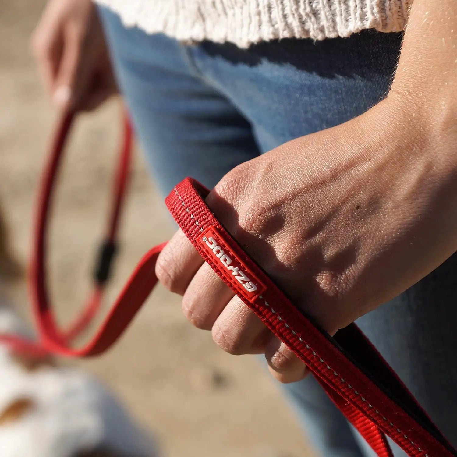 EzyDog 72-Inch Zero Shock Lite Bungee Dog Leash for Small Breeds