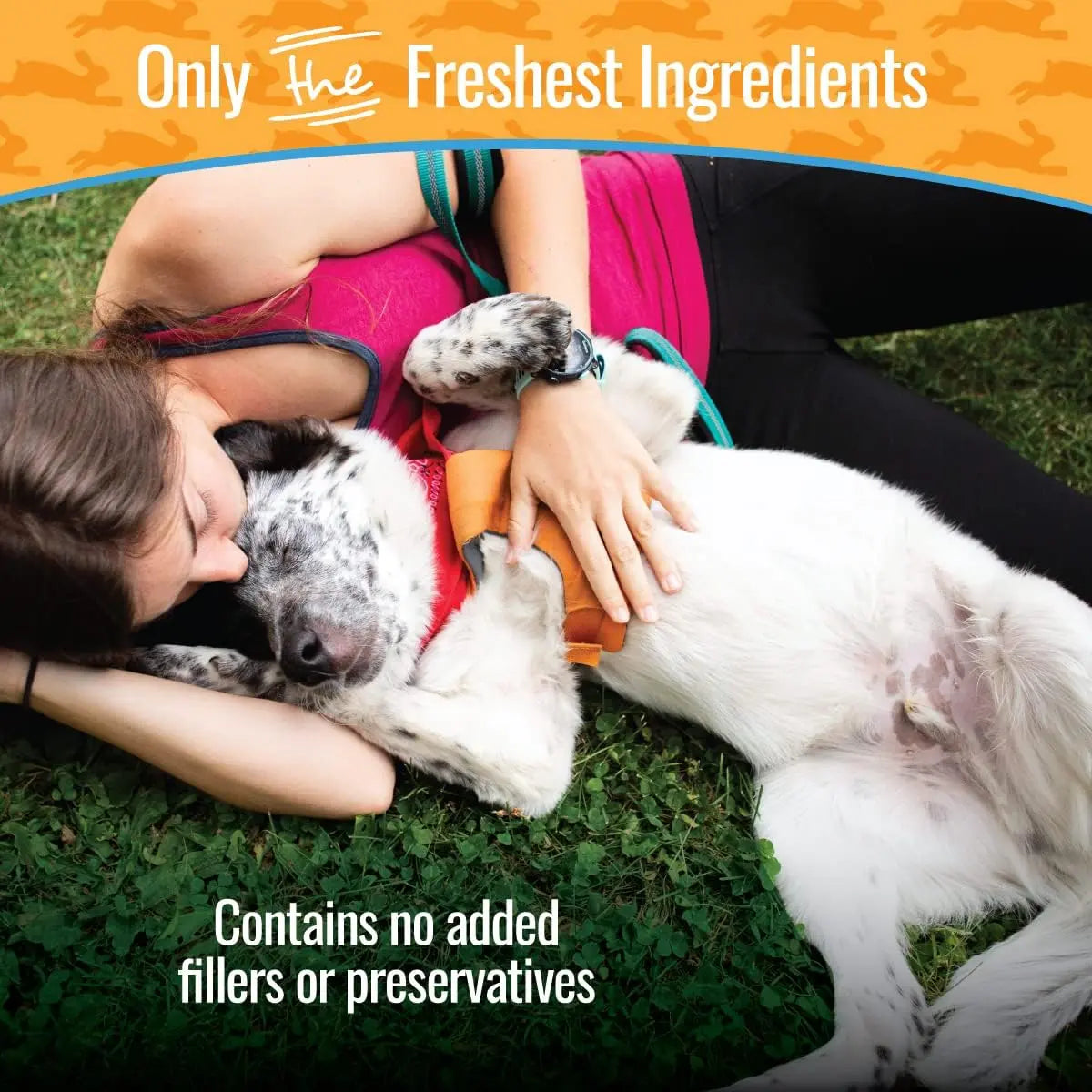 Smart Cookie All - Natural Hypoallergenic and Healthy Rabbit Jerky Dog Treats for Training and Snacking