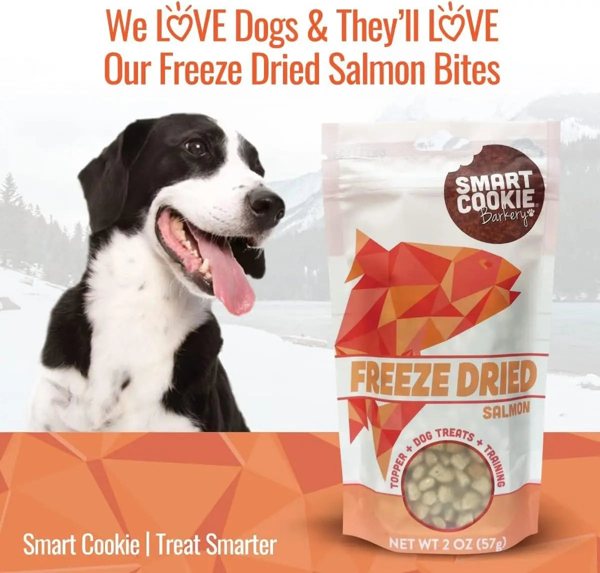2oz Smart Cookie Premium Freeze - Dried Wild Salmon Treats for Dogs