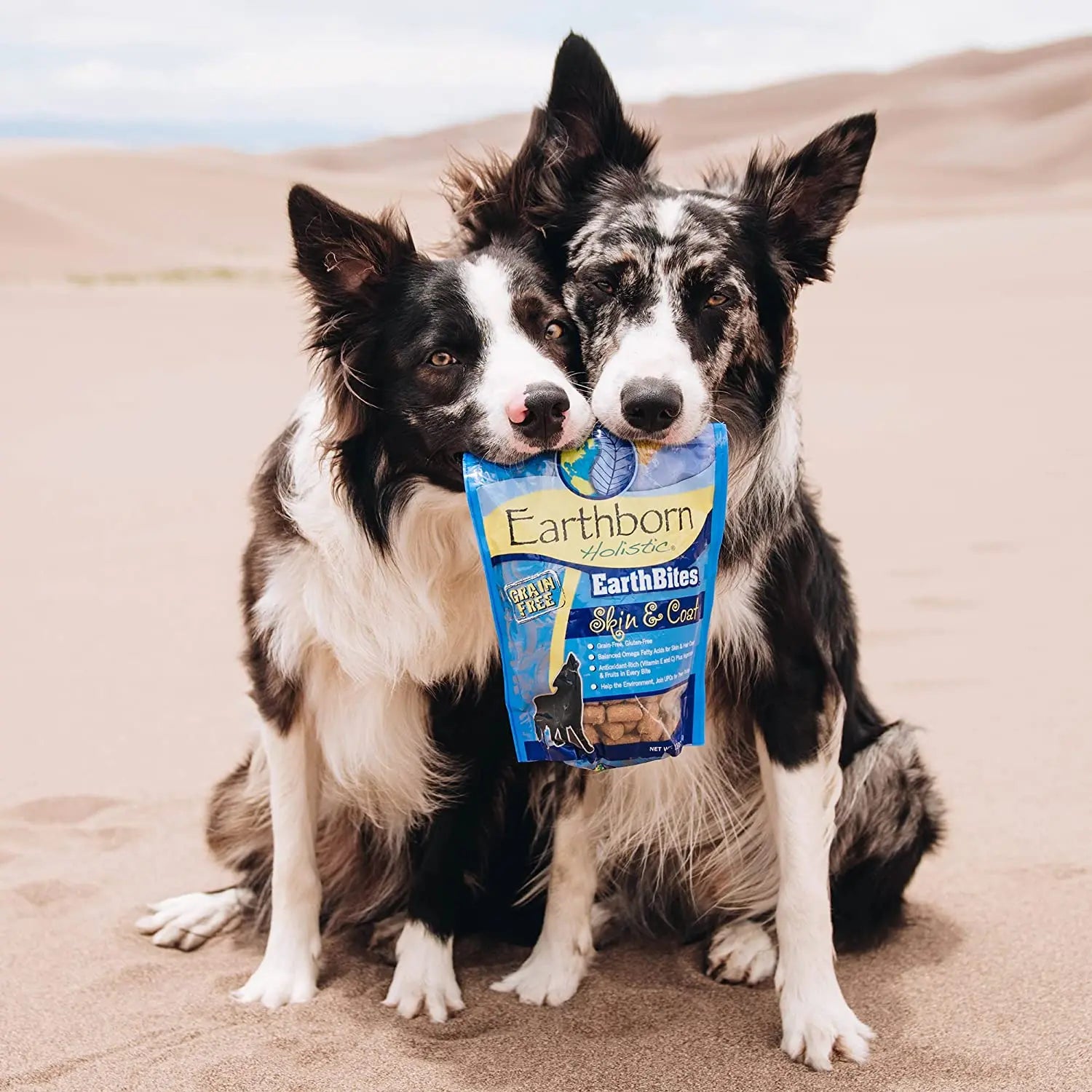 Earthborn Holistic Grain-Free Soft Dog Treats - EarthBites for Skin & Coat Health, 7.5 oz