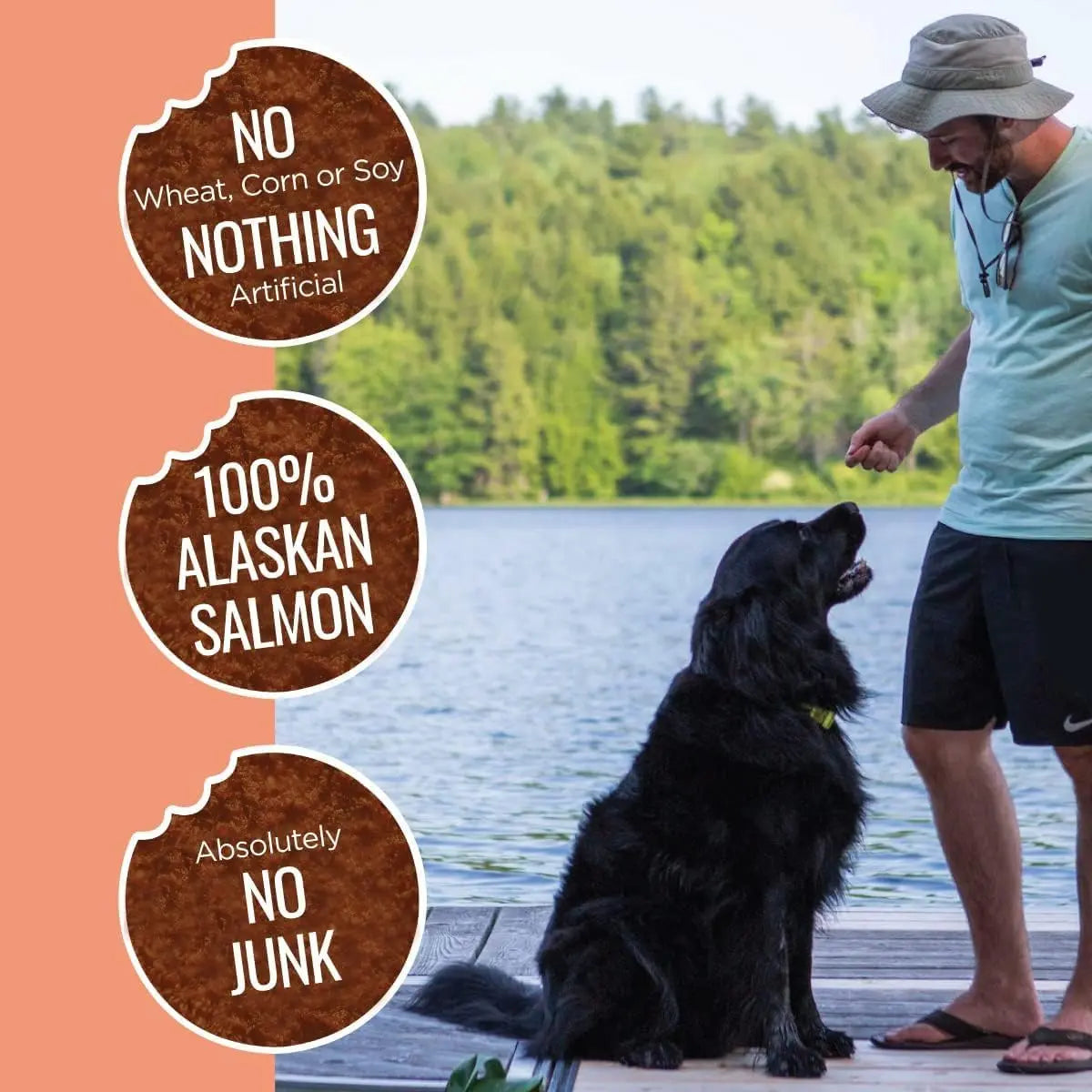 2oz Smart Cookie Premium Freeze - Dried Wild Salmon Treats for Dogs