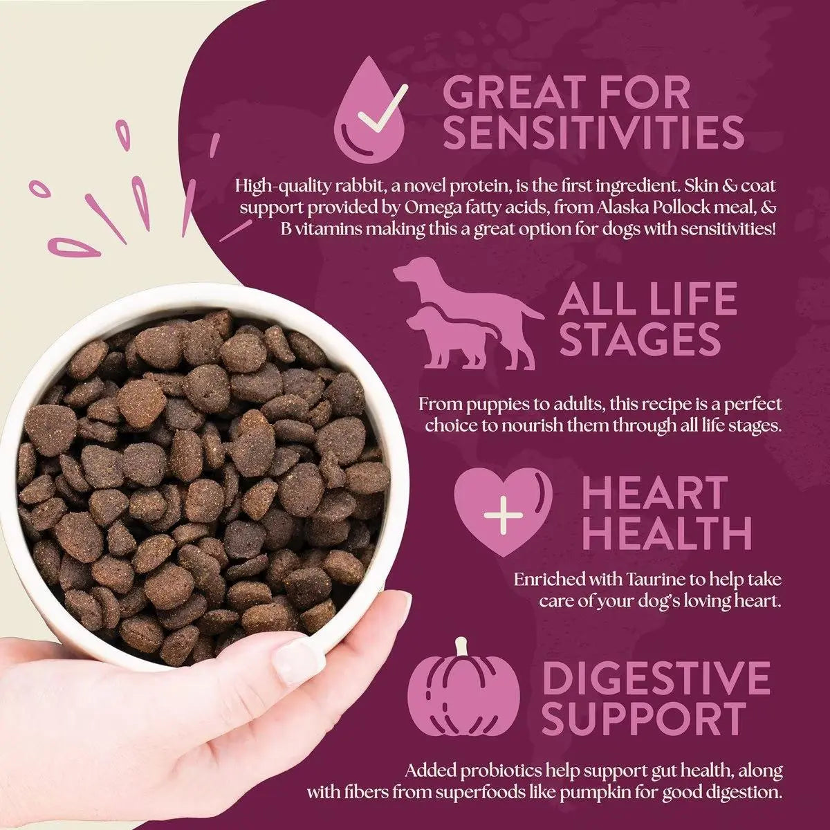 Earthborn Holistic Grain-Free Limited Ingredient Dry Dog Food with Rabbit Meal & Pumpkin