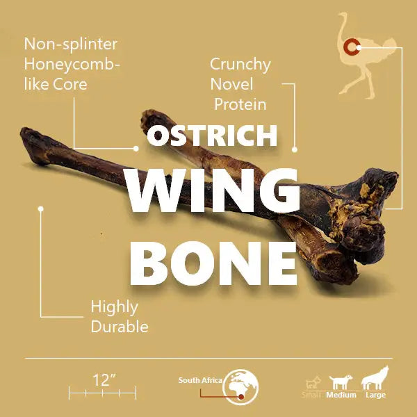 Savannah Long - lasting, Hypoallergenic Ostrich Wing Bone: A Natural Dog Gnaw Treat
