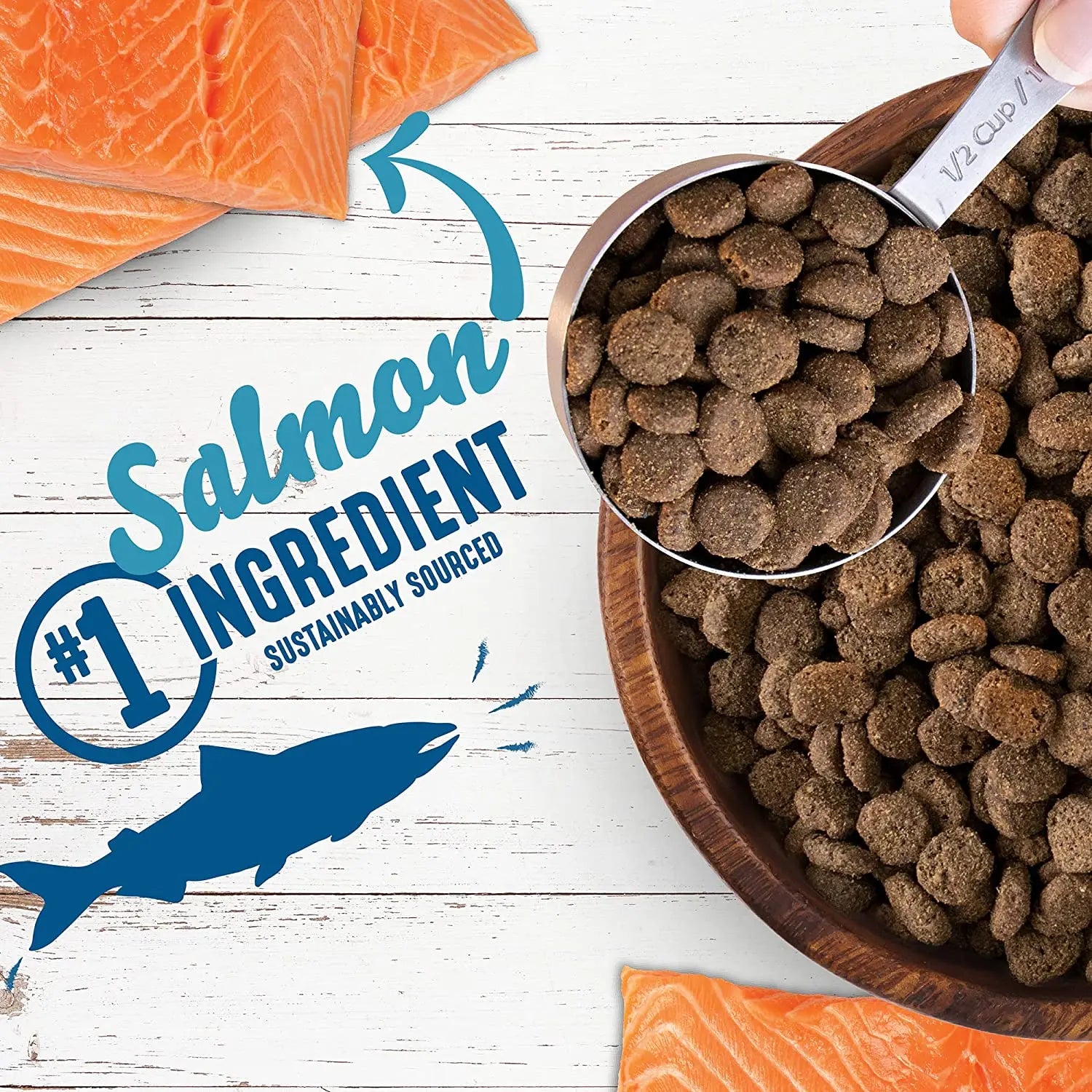 Earthborn Holistic® Unrefined™ Premium Dog Food - Smoked Salmon with Ancient Grains and Nutrient - rich Superfoods