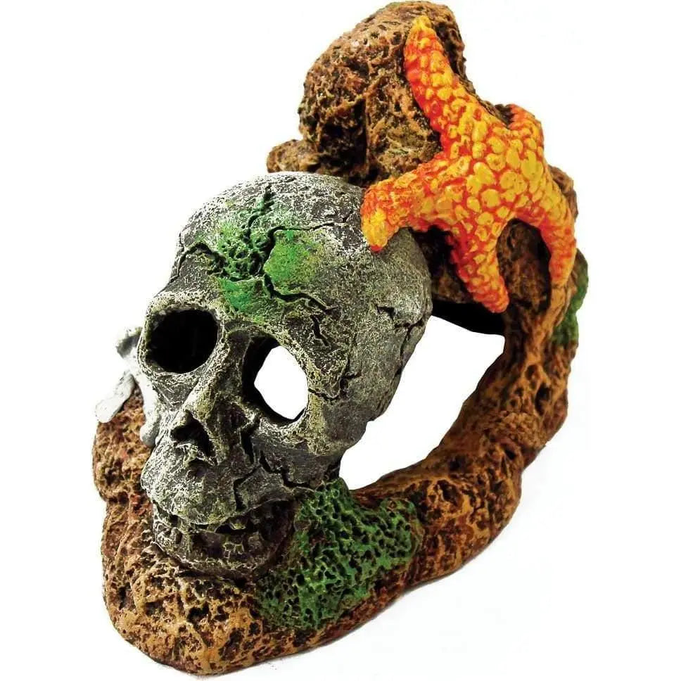 Exotic Aquarium and Terrarium Decor - Skull Adorned with Starfish