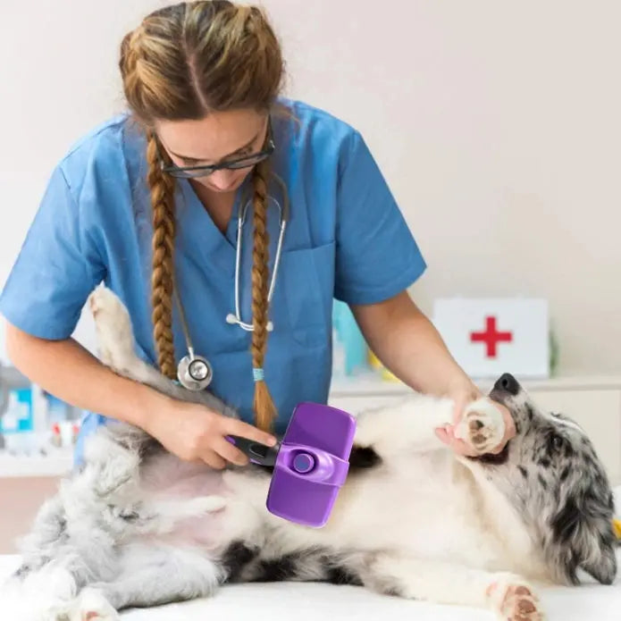 Automatic Self - Cleaning Premium Pet Grooming Brush for Dogs and Cats