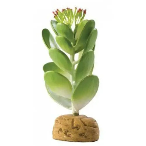 Exo-Terra Artificial Desert Jade Cactus Terrarium Decoration Plant for Reptiles, Amphibians, and Arachnids