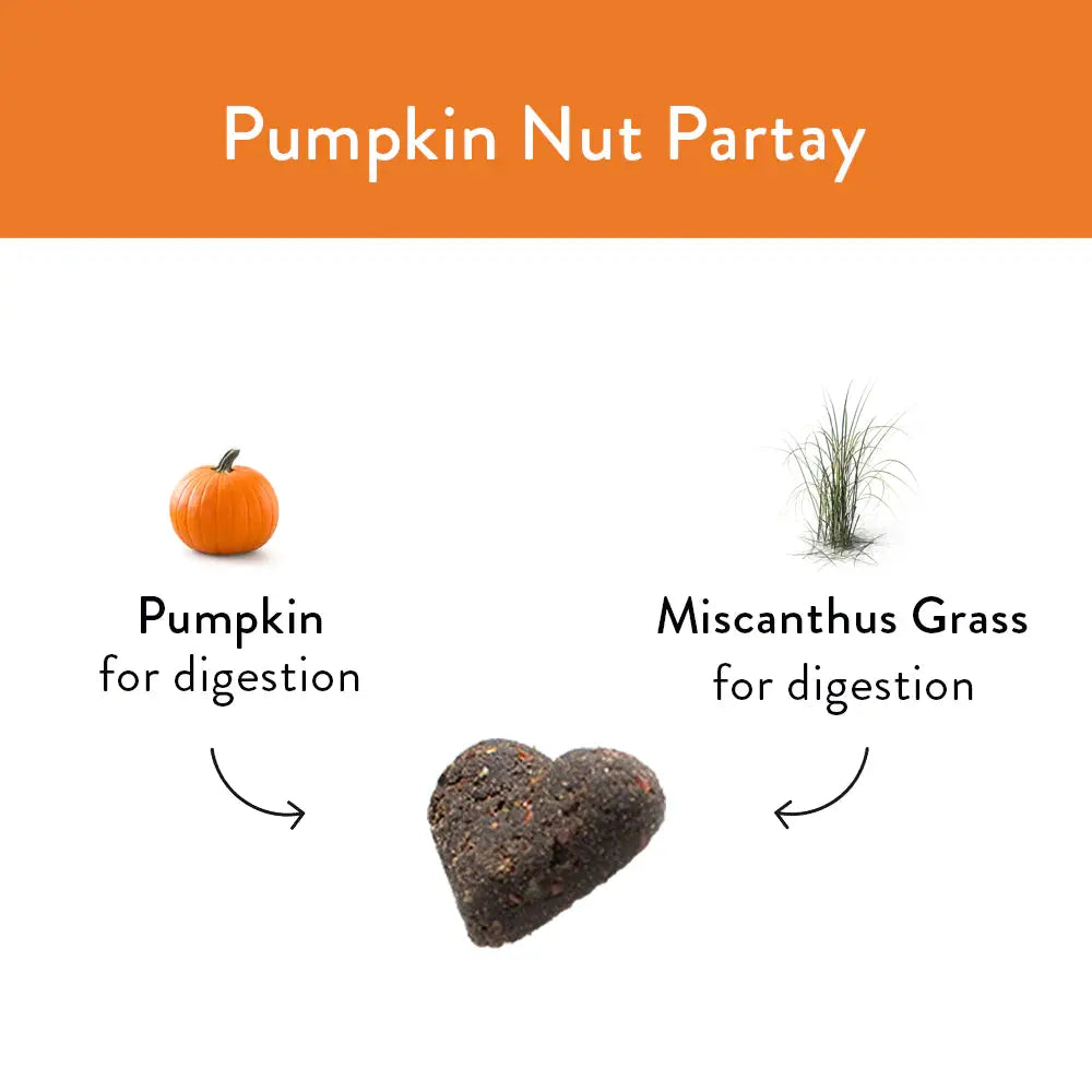 Shameless Pets Soft Baked Pumpkin Nut Party Dog Treats
