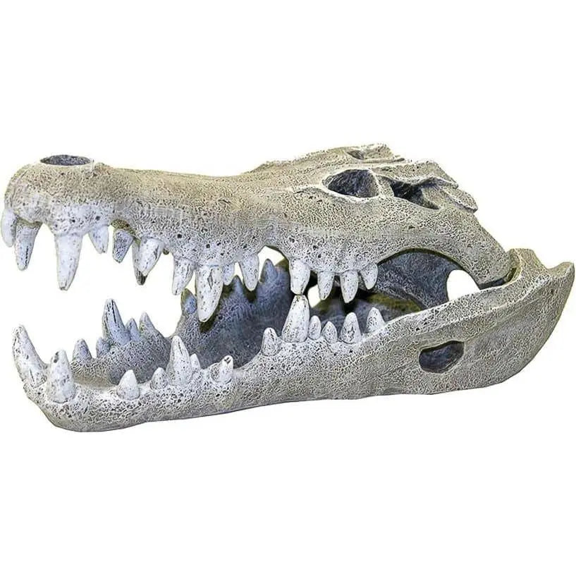 Exotic Nile Crocodile Skull Replica for Aquatic Decor
