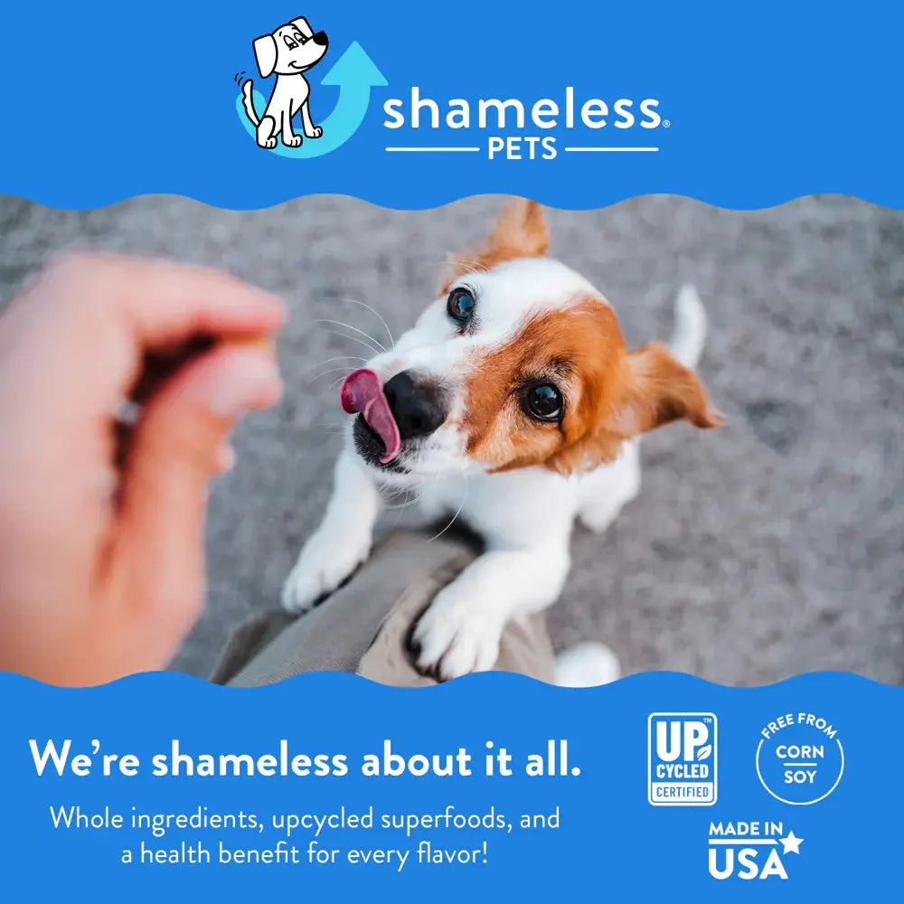 Shameless Pets Bone Broth Chewy Dog Treats with Peanut Butter Delight