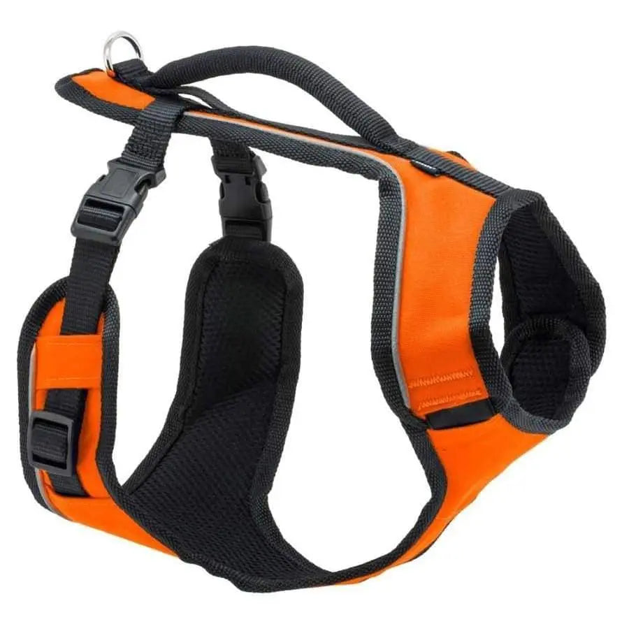 EasySport Adjustable and Super Comfortable Dog Harness for Daily Use