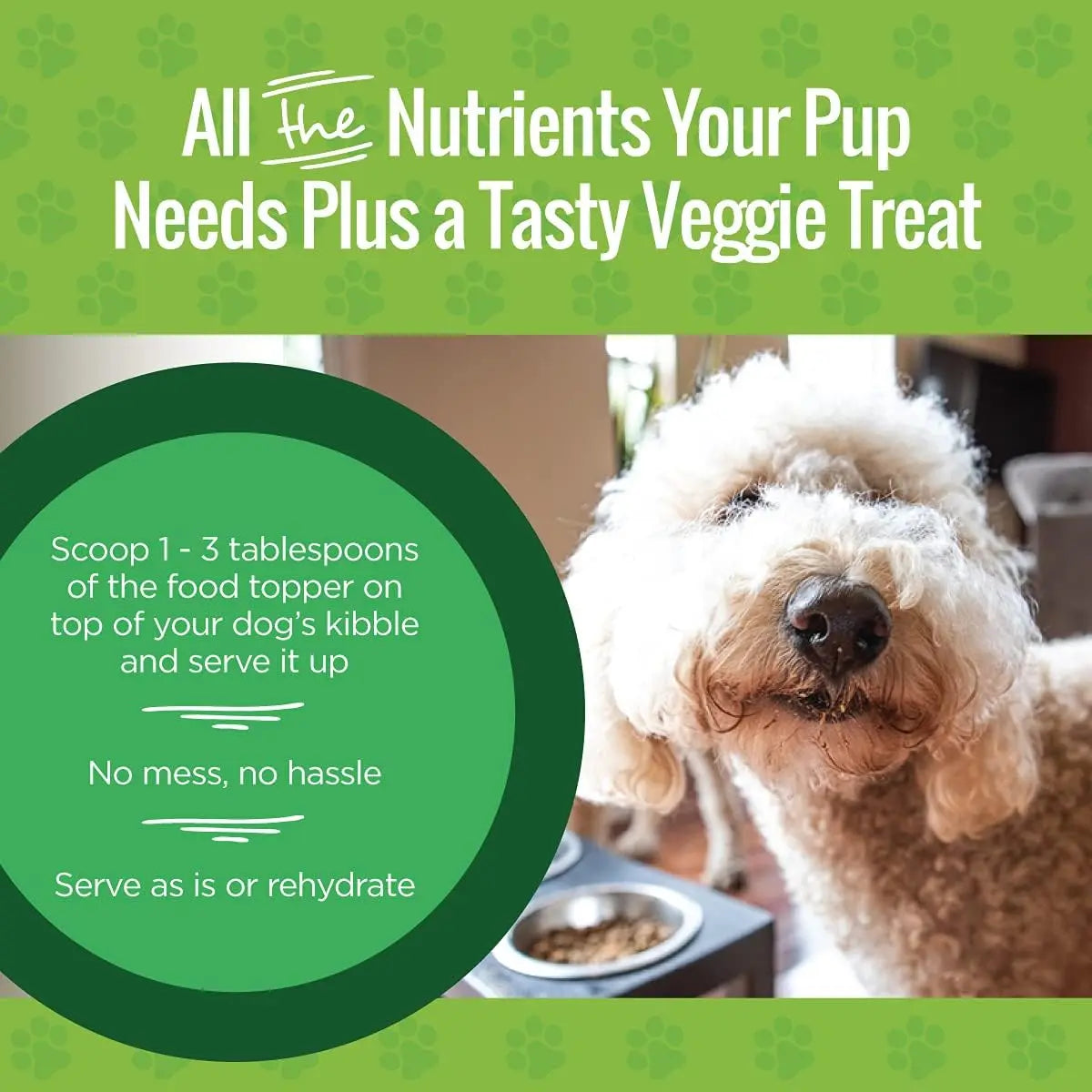 Healthy Freeze-Dried Smart Cookie Veggie Topper for Dog Meals