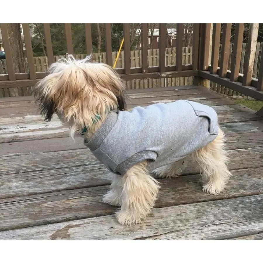 Stylish Grey Fashionable Pet Dog Crewneck Sweatshirt for Active Canines
