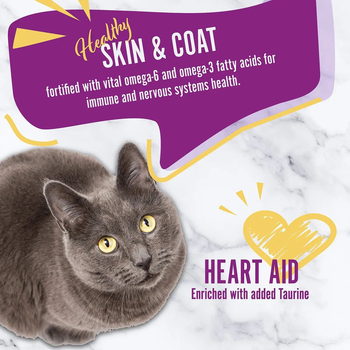 Earthborn Holistic® Feline Vantage™ High - Quality Holistic Cat and Kitten Food