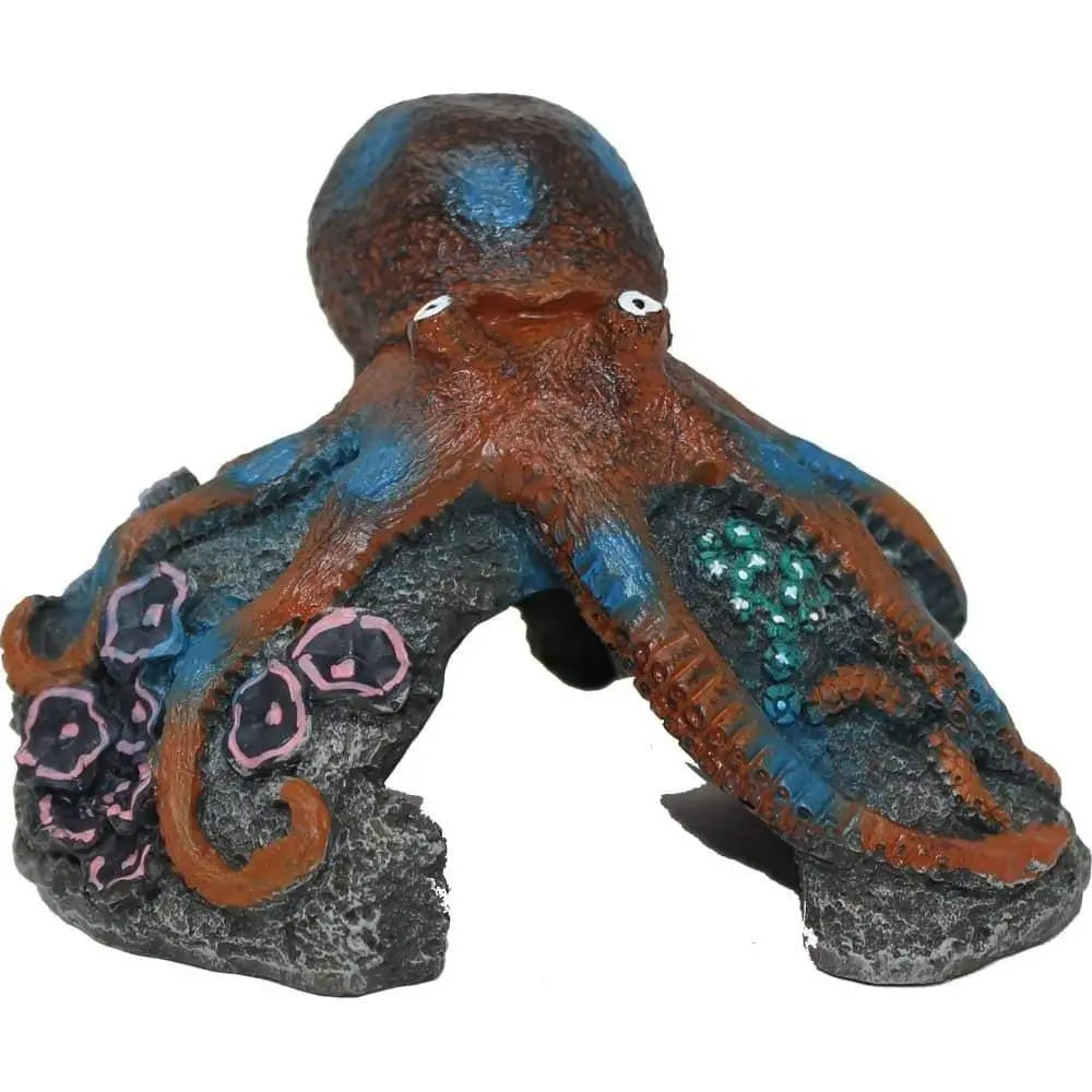 Exotic Blue Ring Octopus for Aquatic Environments