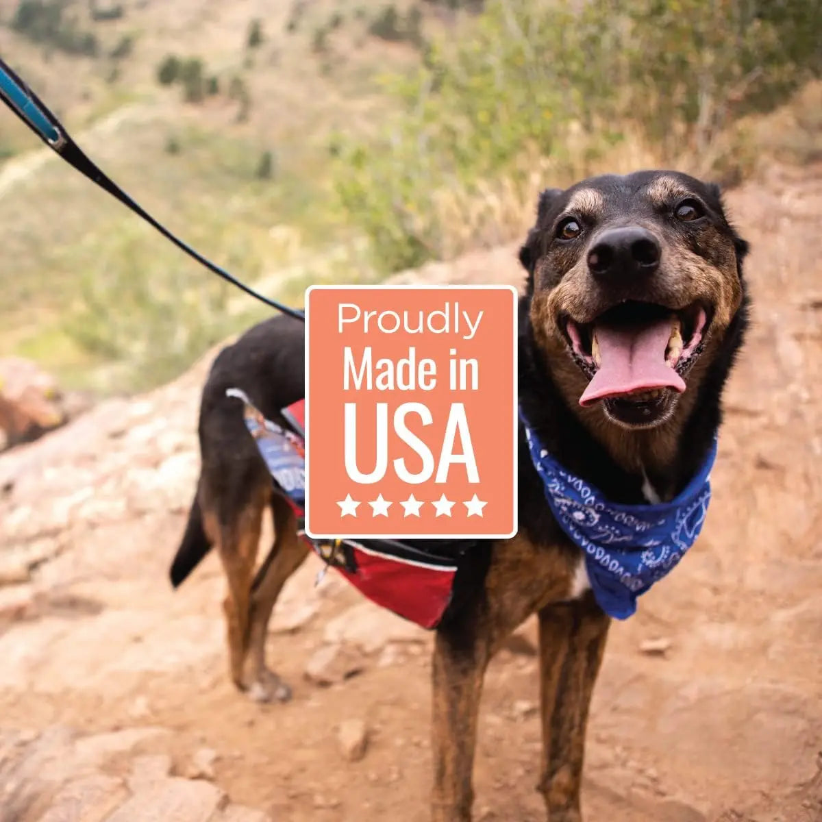 High - Quality Smart Cookie All - Natural Wild - Caught Alaskan Salmon Jerky Treats Specially Designed for Dogs