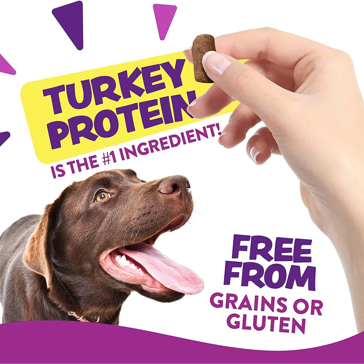 Earthborn Holistic Grain-Free 7.5 oz Turkey Soft Dog Treats for Hip & Joint Health