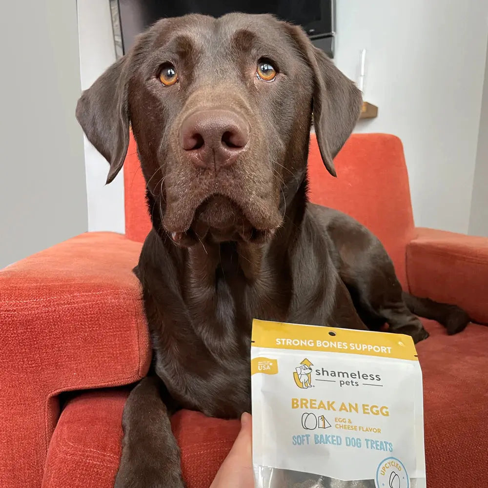 Shameless Pets All - Natural Soft Baked 'Break an Egg' Dog Treats with Added Calcium