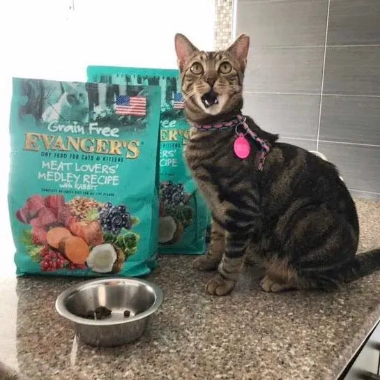 Evanger's 4.4 lb Grain-Free Rabbit Medley Dry Cat Food for Meat Lovers