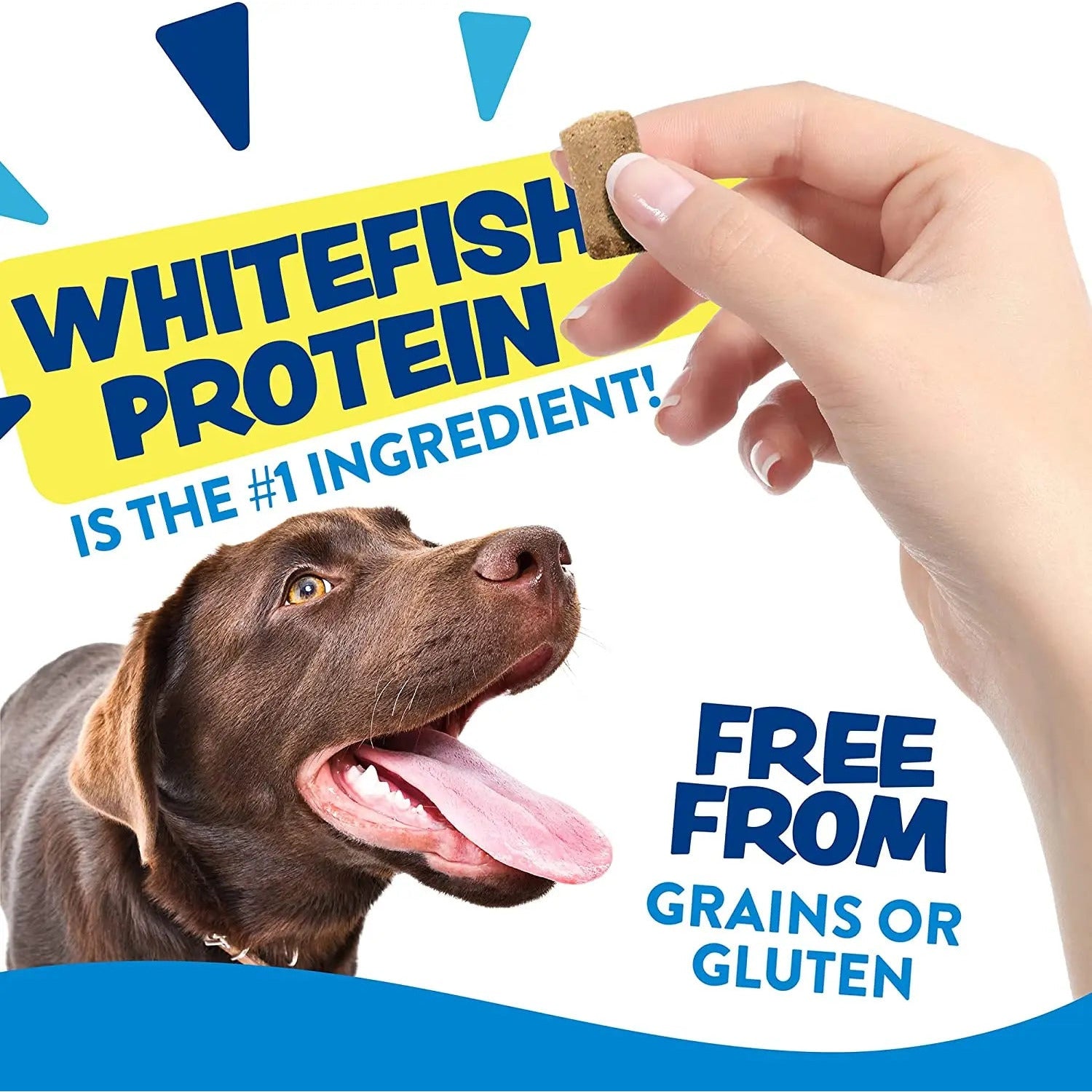 Earthborn Holistic Grain-Free Soft Dog Treats - EarthBites for Skin & Coat Health, 7.5 oz