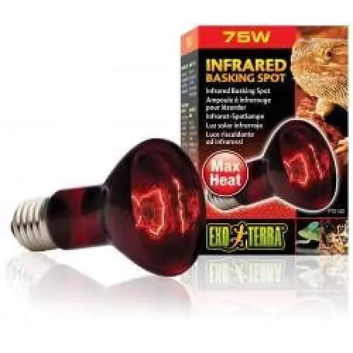 Exo-Terra Infrared Heat Glo Lamp for Terrarium Heating