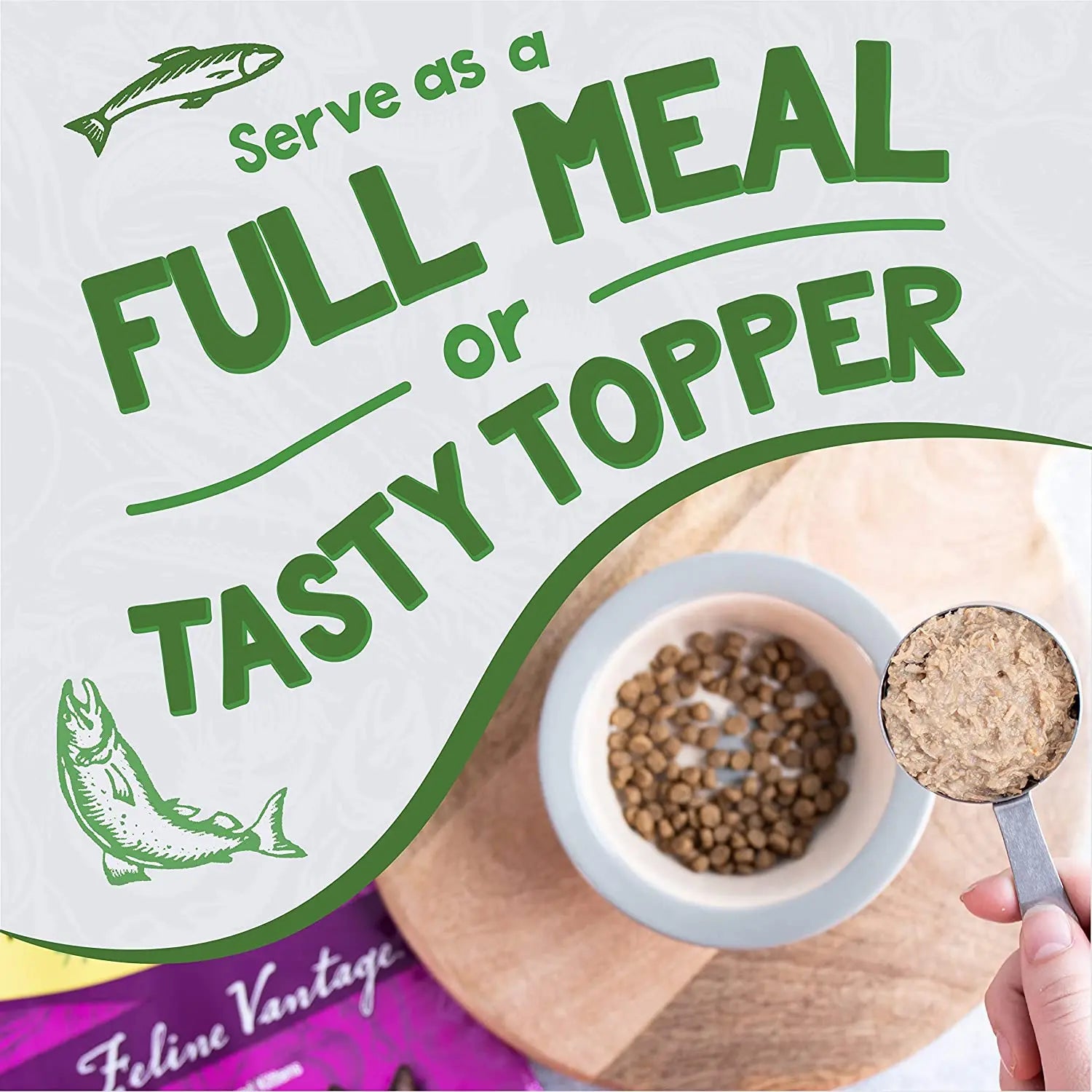 Earthborn Holistic Grain-Free Wet Cat Food with Savory Chicken Catcciatori