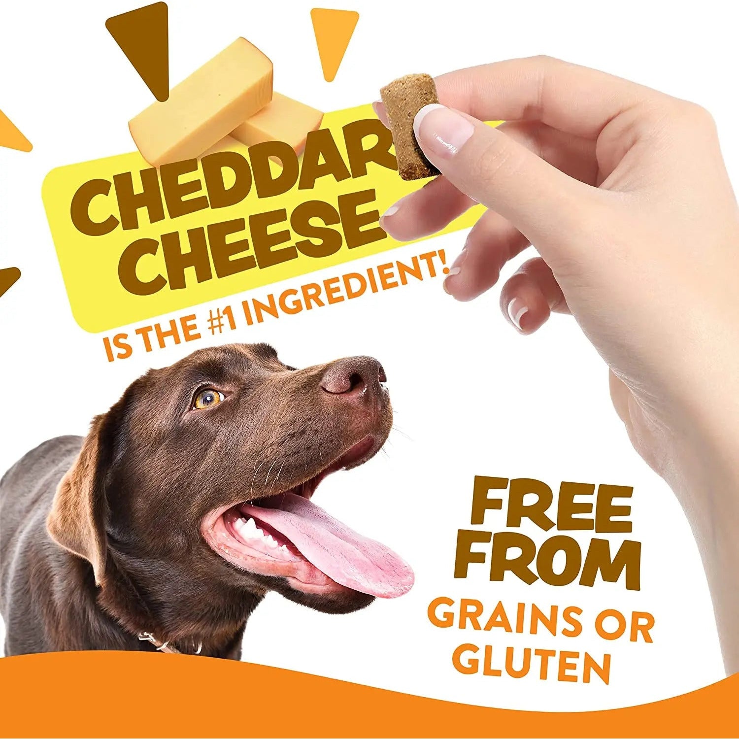 Earthborn Holistic Grain - Free Cheesy Soft Dog Treats EarthBites