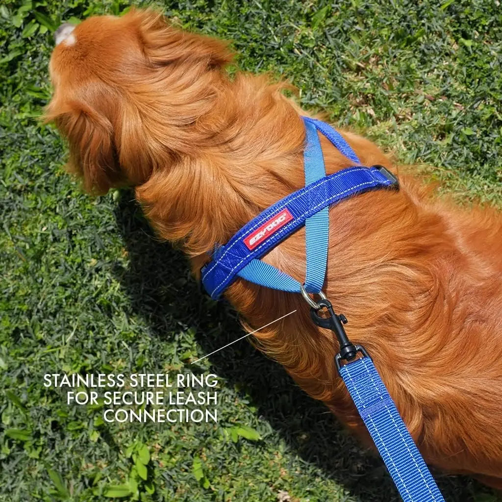 EzyDog Premium Adjustable No-Pull Quick-Fit Dog Harness