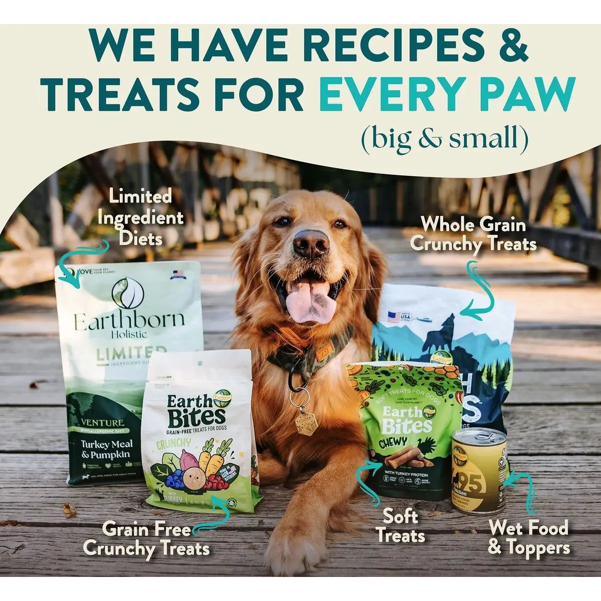Earthborn Holistic Coastal Catch Premium Grain-Free Dry Dog Food with Herring Meal and Vegetables for Dogs of All Ages