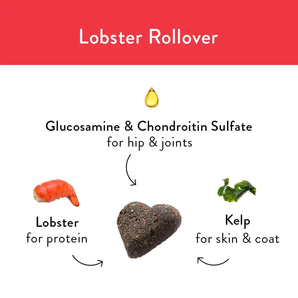 Shameless Pets Soft Baked Lobster - Flavored Dog Treats with Glucosamine