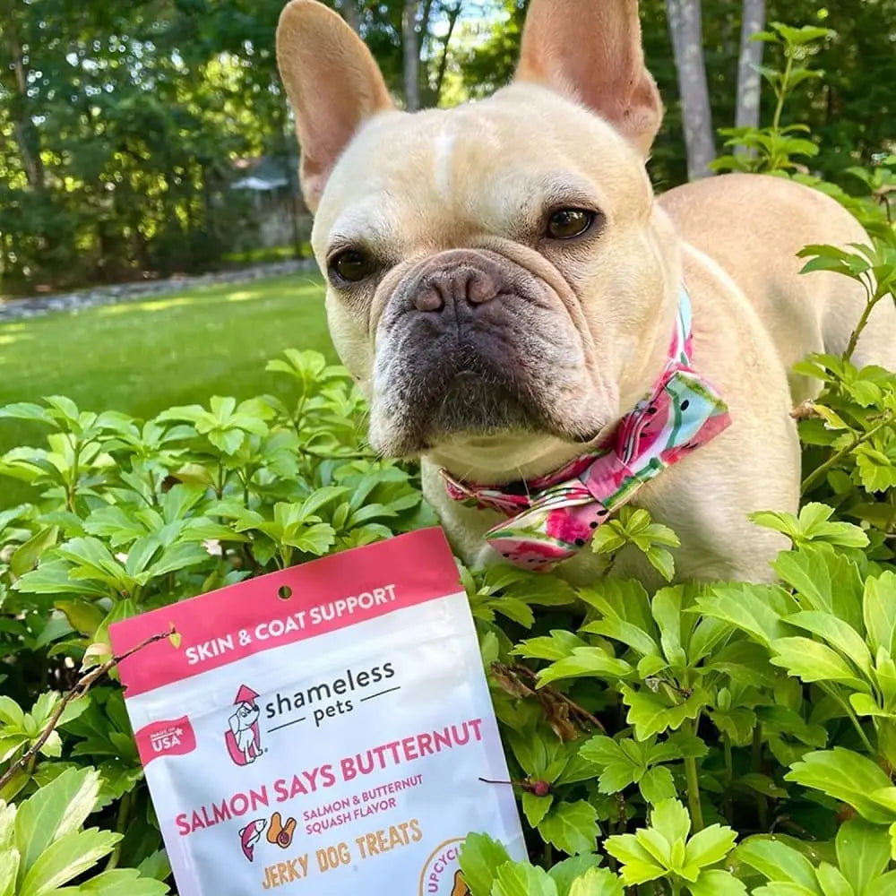 5 oz Shameless Pets High - Quality Jerky Bite Doggie Treats