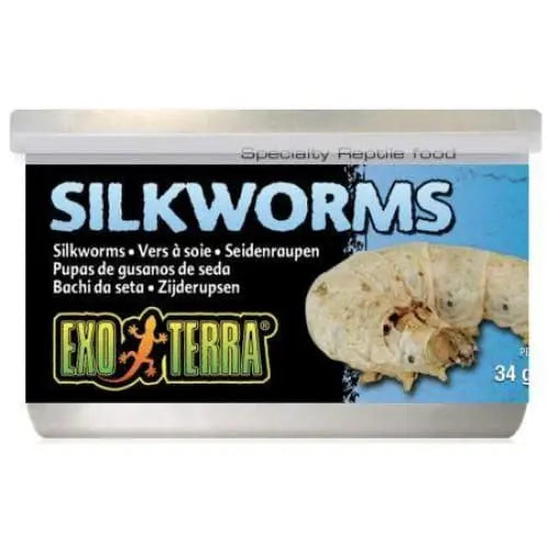 Exo Terra Canned Medium Silkworms: Ideal Specialty Food for Reptiles